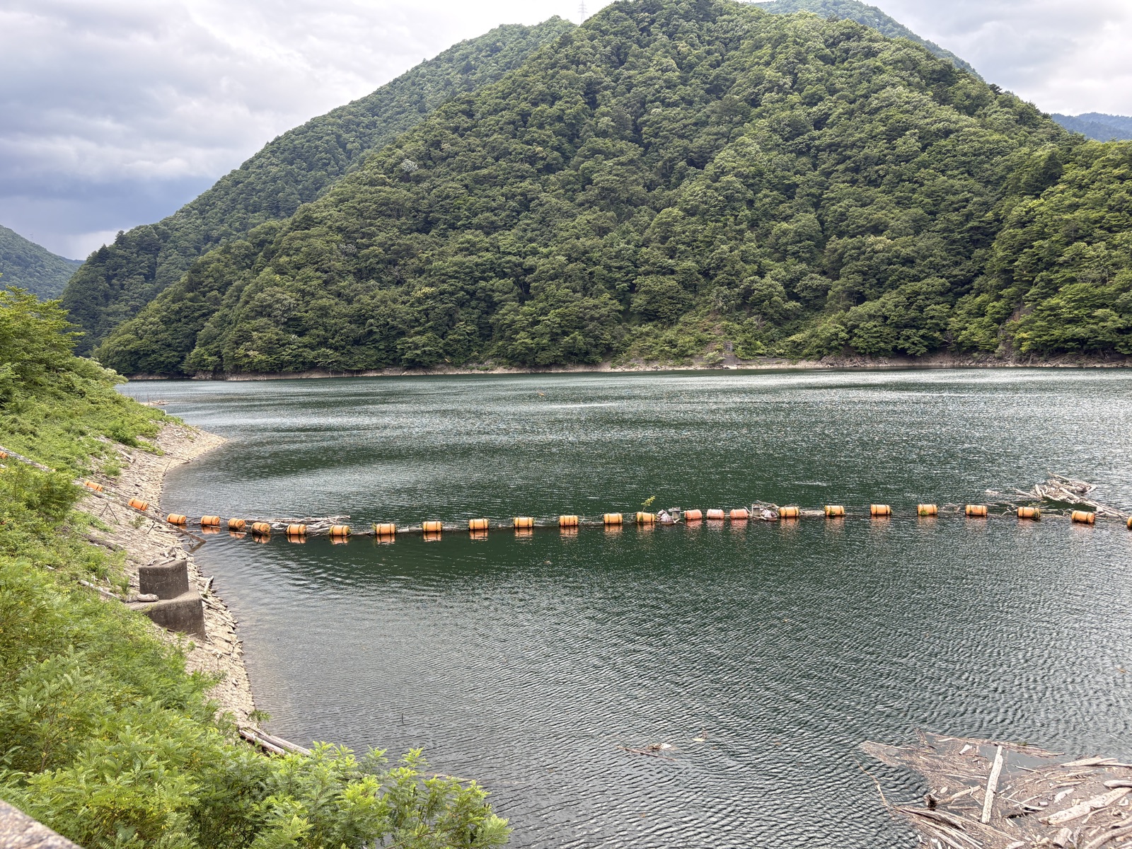 水殿調整池の湖面